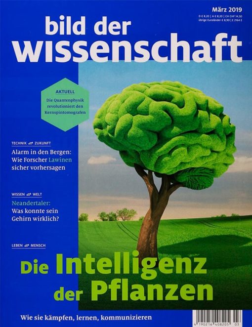 Bild der Wissenschaft